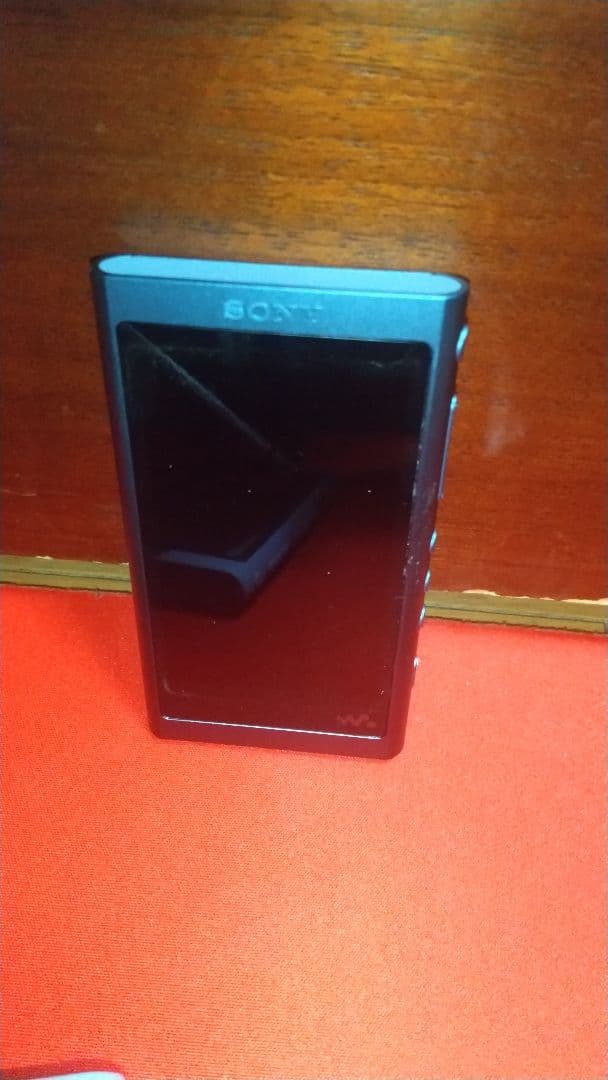か*ん様 ソニー ウォークマン NW-A55 16GB 動作ok