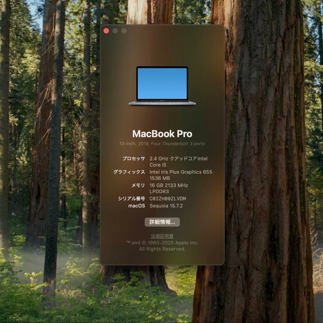 【本体のみ】2019 Apple MacBook Pro 512GB 16GB