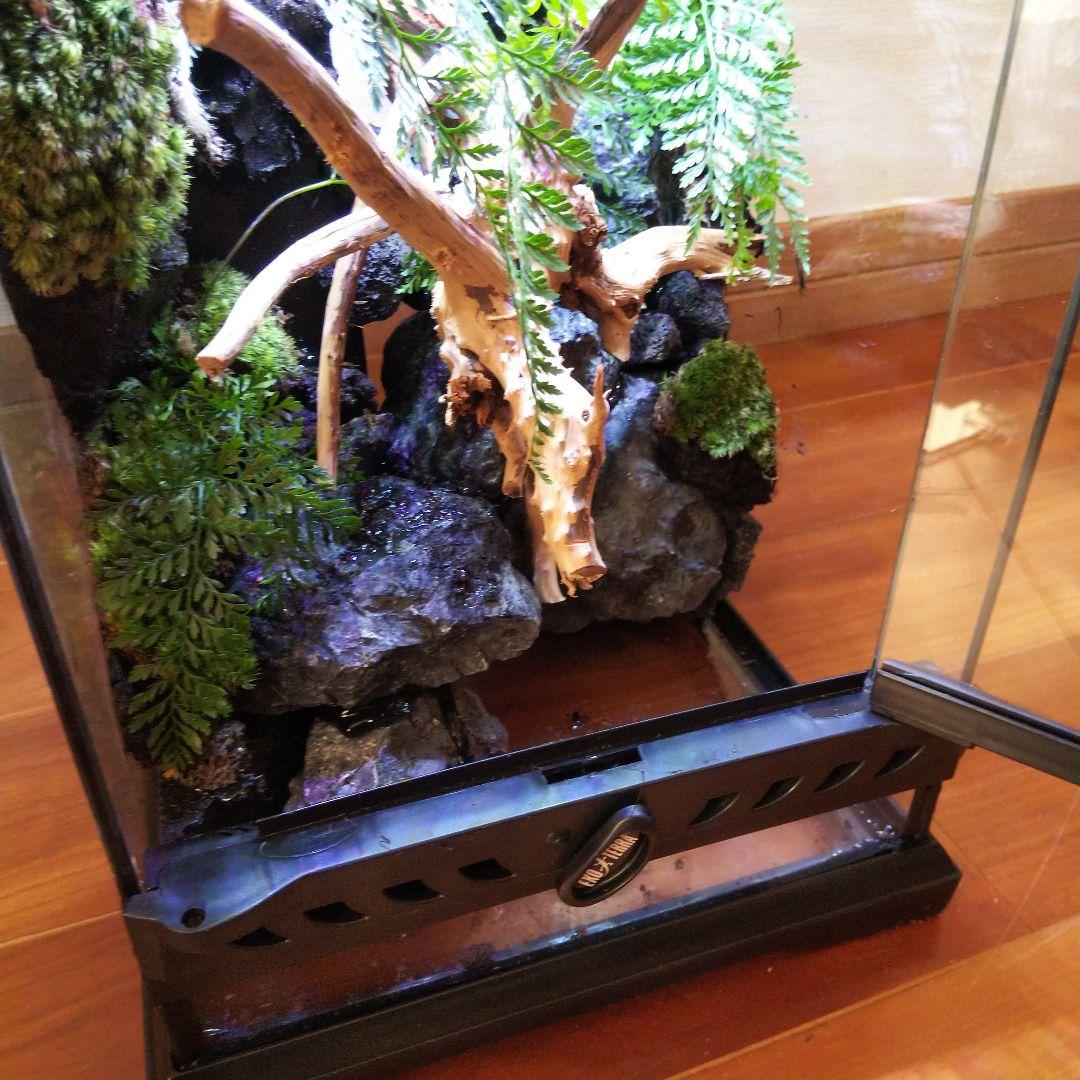 【受注生産】滝の流れるアクアテラリウム　テラリウム　苔　イモリウム