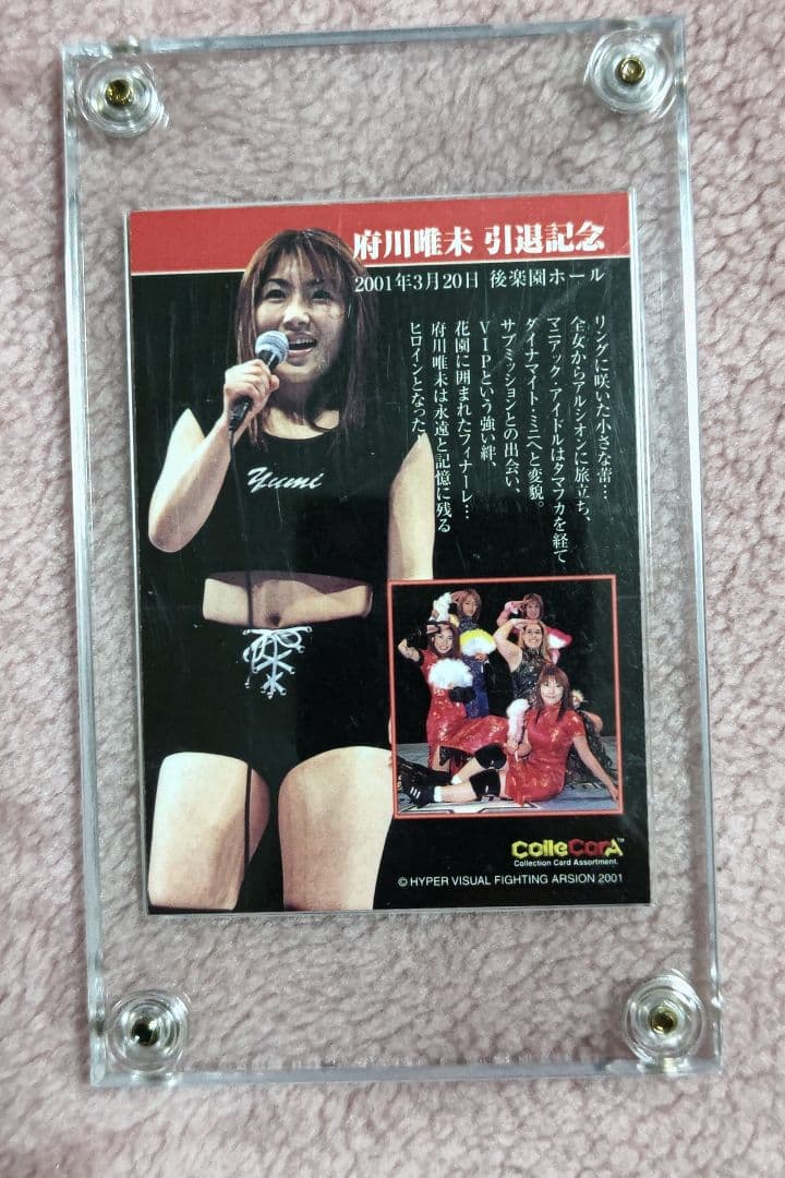 アルシオン　府川唯未　引退記念　ミニコスチューム付き額入りサイン色紙ブラック仕様