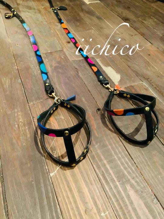 犬用リード＆ハーネス2点SET！Black革Blue系マルチドット