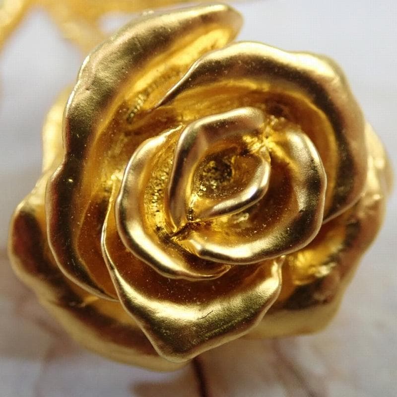 Patrick Q 様RU-6046 KENZO ケンゾーバラ　20250617