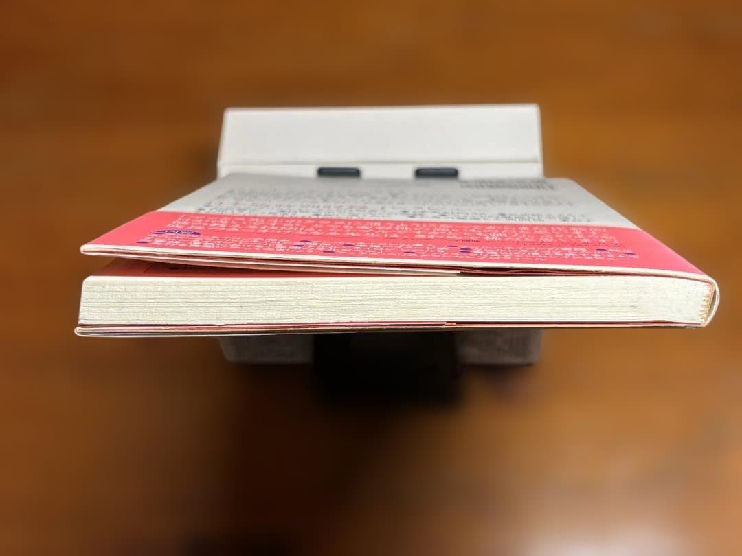 クンルン ネイゴン　崑崙山脈に伝わる一子相伝の秘宝　マックス・クリスチャンセン