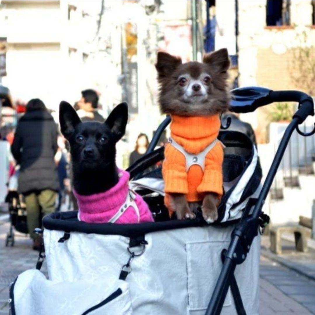 【ミナのミナクル】天使のカート M Ver.3 ホワイト 白 ダマスク