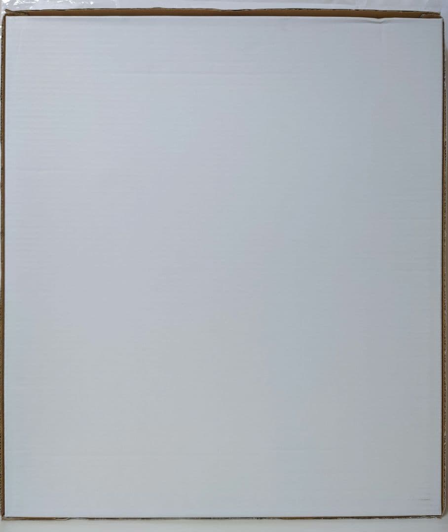 推しの子 複製原画 赤坂アカ 横槍メンゴ サイン入り 赤坂アカの世界展 B小町