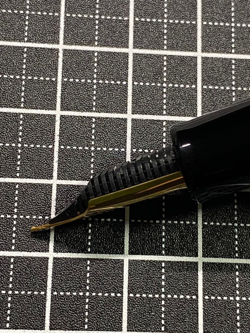 DAKS 110th Anniversary 万年筆　Camel 字幅M