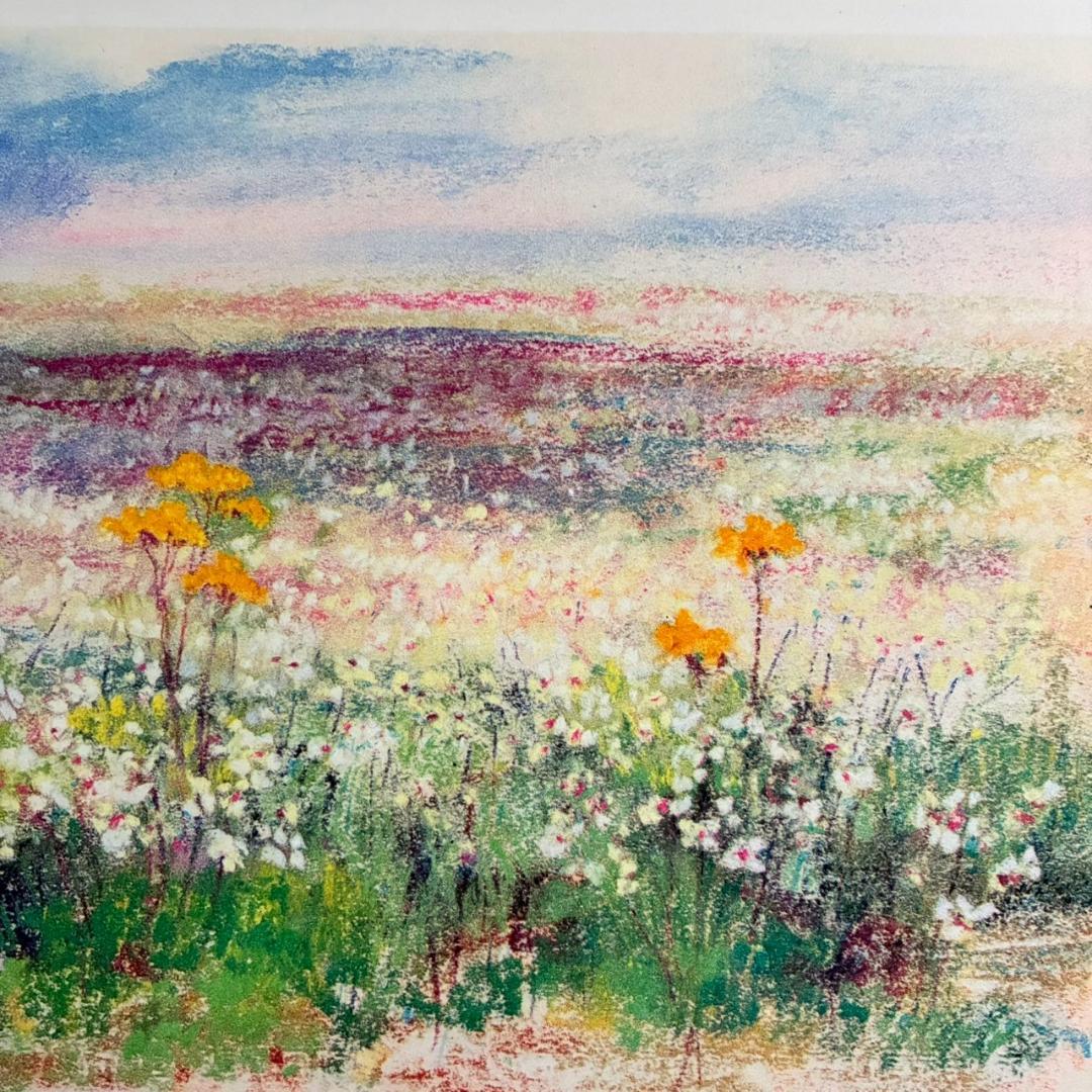 美品 ナターレ・アダミアーノ「白い花畑」リトグラフ 直筆サイン入り お洒落な額装