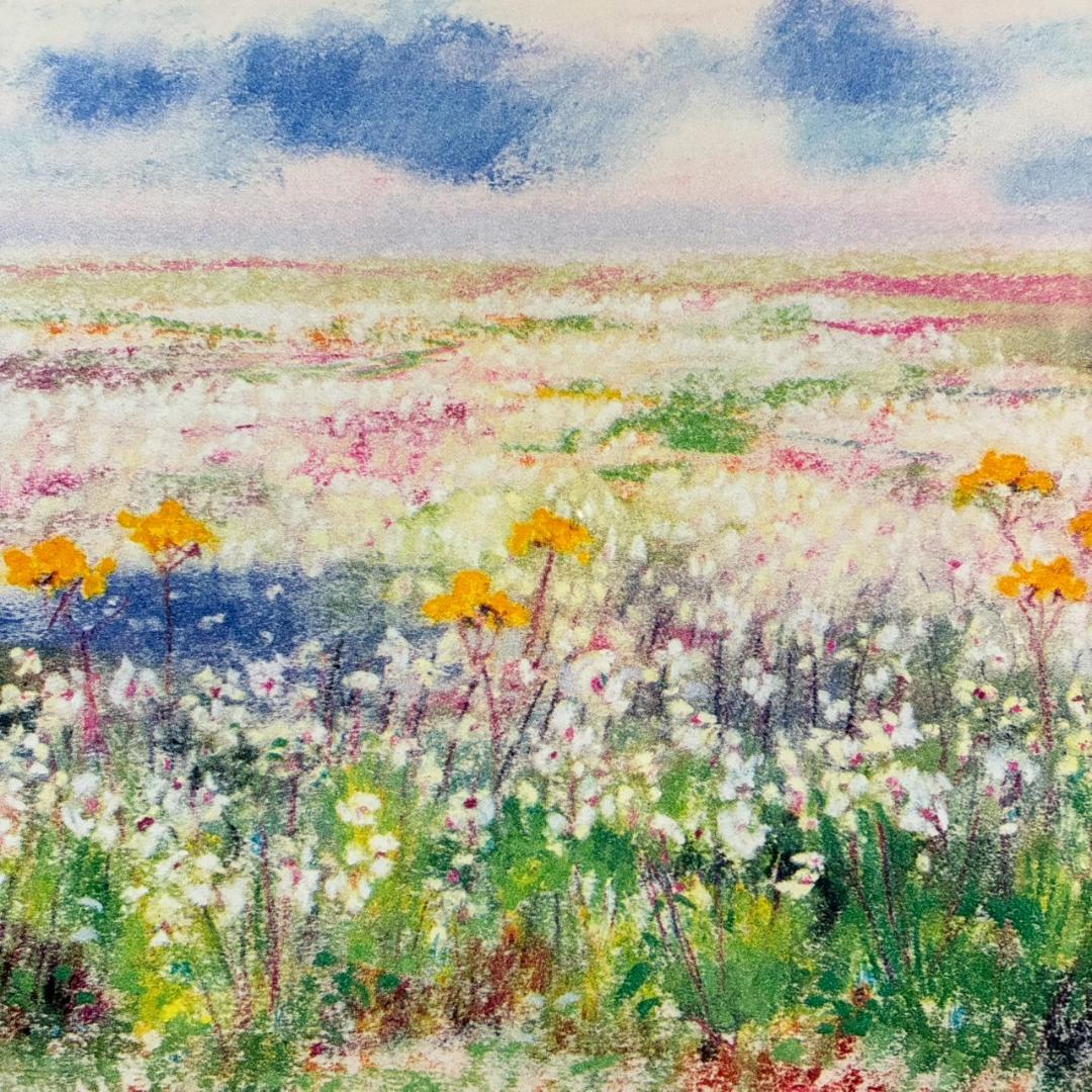 美品 ナターレ・アダミアーノ「白い花畑」リトグラフ 直筆サイン入り お洒落な額装