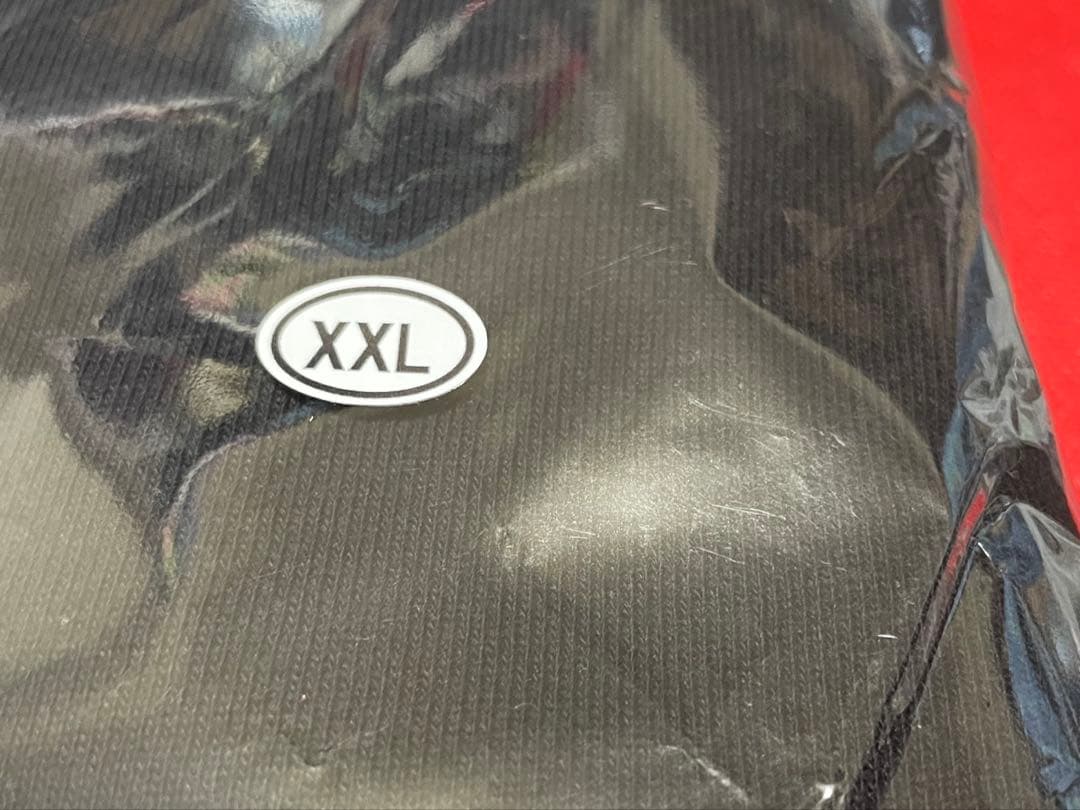 dustbox SW HOODIE XXL❶ENTH※10-FEET※SiM