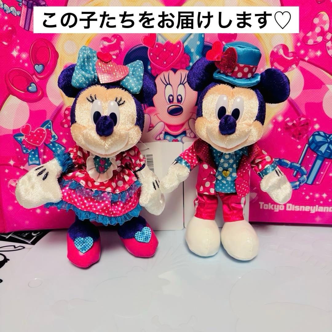 【匿名配送】　パルパルーザ　ぬいぐるみバッジ　ミニーのファンダーランド　2026