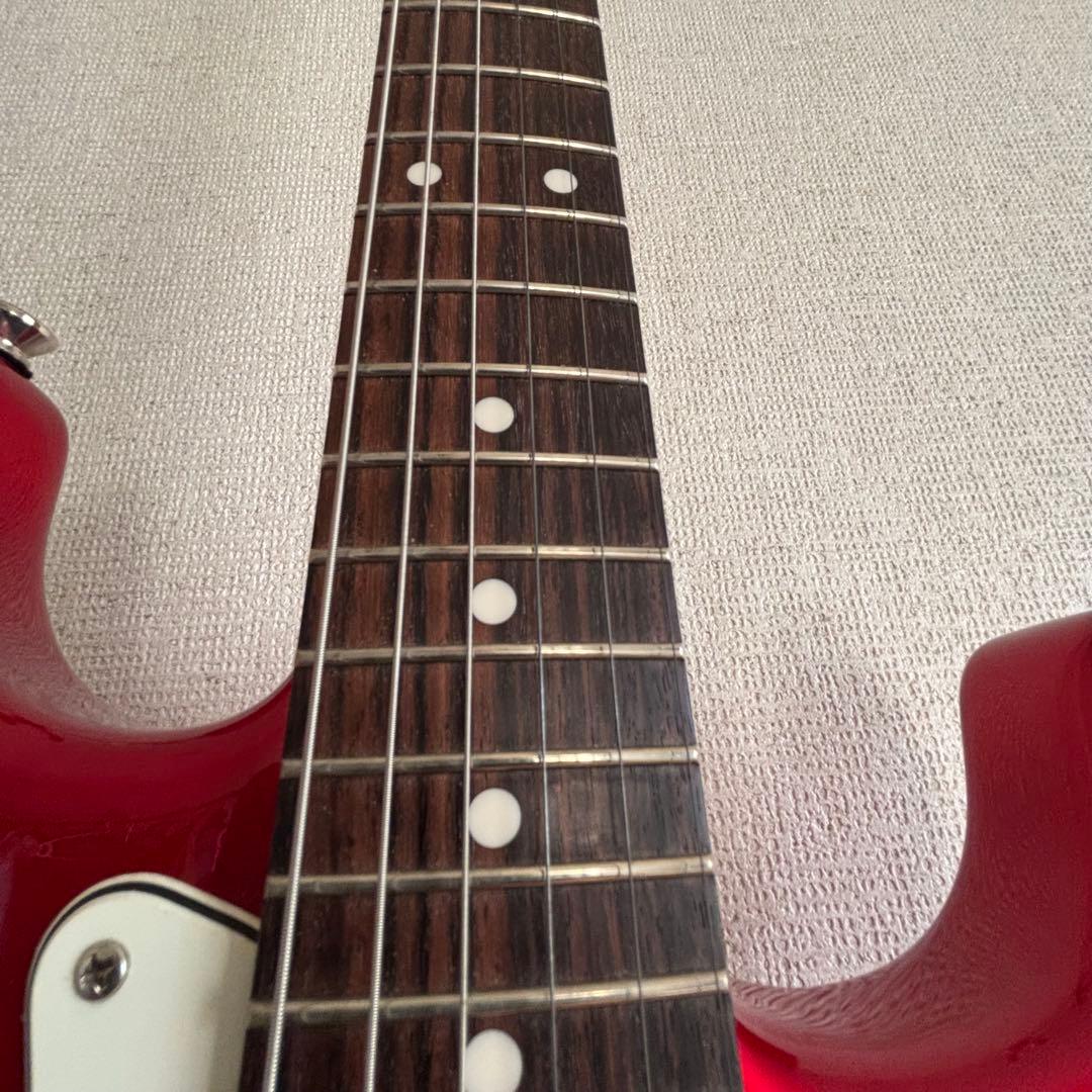 さ*こ様 Bacchas グローバルシリーズ　BST-500G CAR