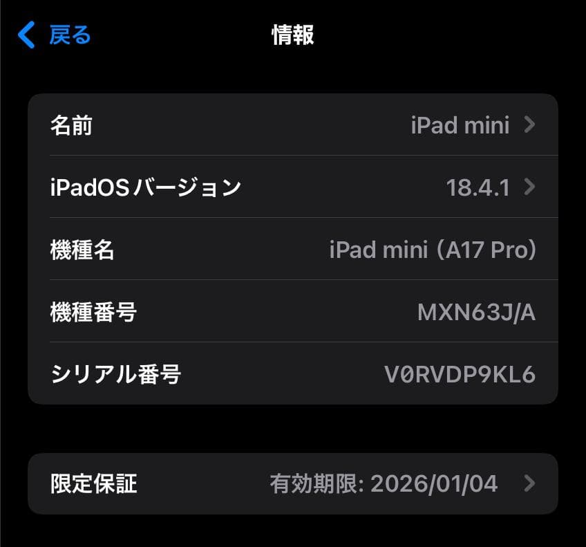 Apple iPad mini 128gb第7世代 本体 + スタイラスペン
