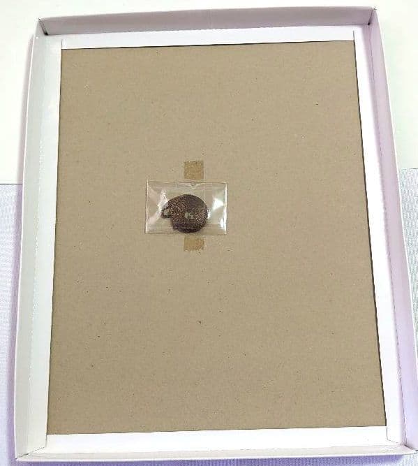 ✨シティーハンター 3 & 91 限定特典 オリジナル キャラファイングラフ✨