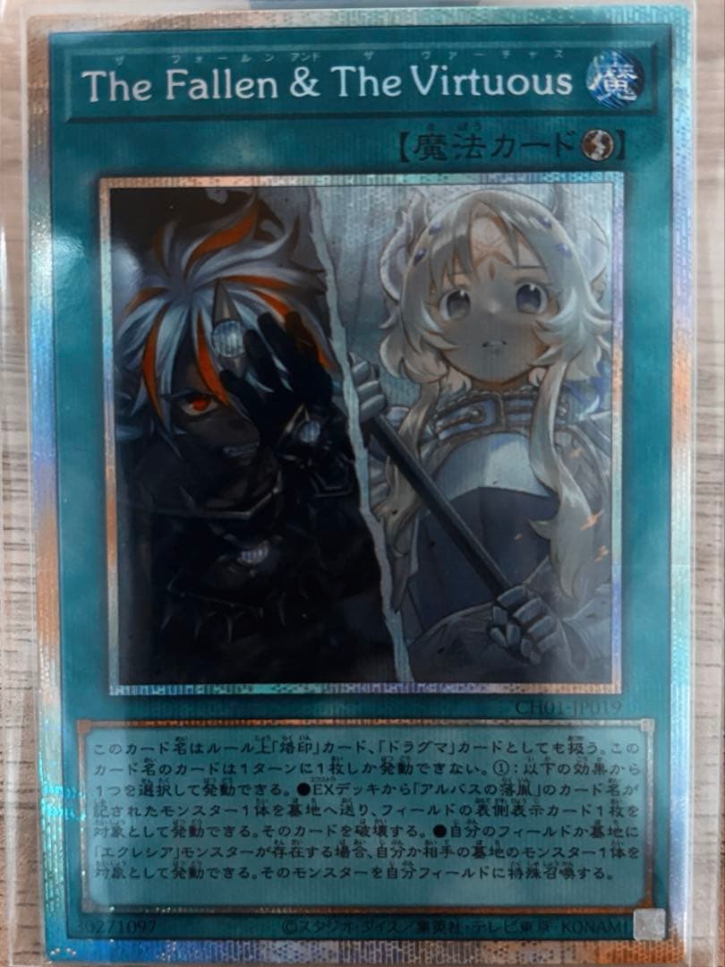 the fallen & the virtuous プリシク　新品未使用品