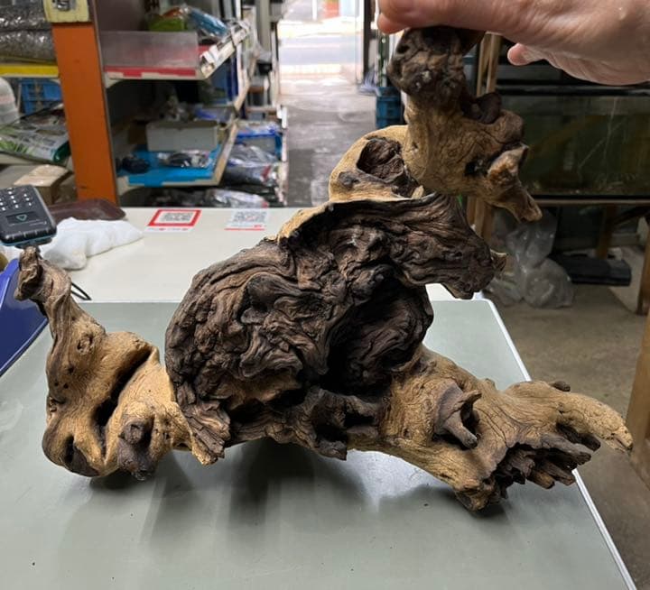 サバンナウッド　水槽インテリア　トカゲ　陸ガメ　爬虫類インテリアに　流木　古木