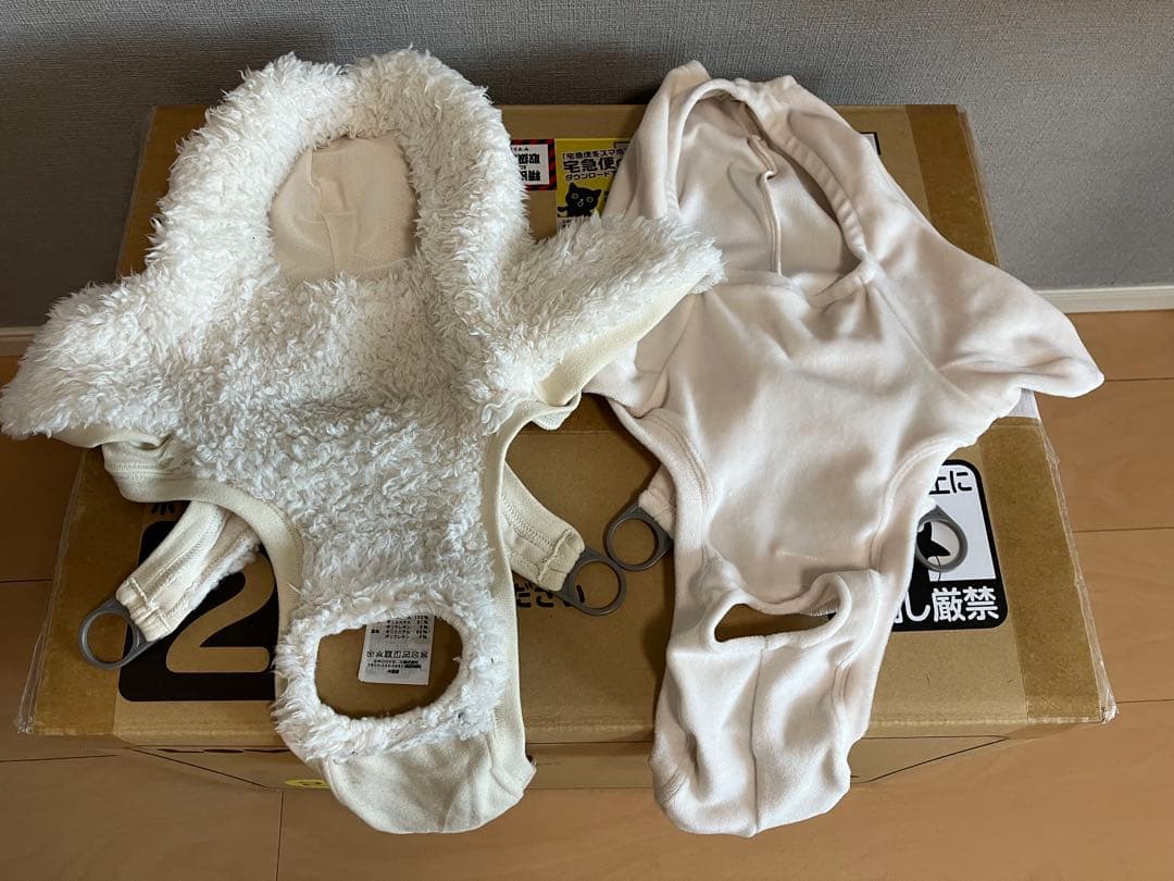 LOVOTラボット2.0本体&ネスト(ちゃ)、2023年12月購入、稼働約７か月