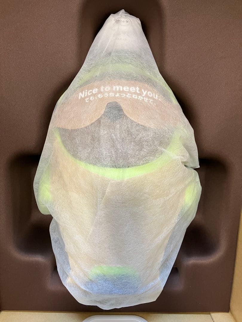 LOVOTラボット2.0本体&ネスト(ちゃ)、2023年12月購入、稼働約７か月