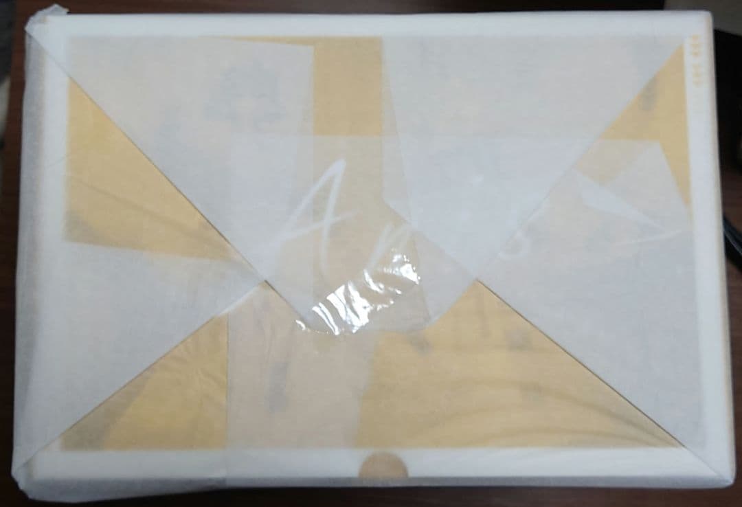 勝利の女神：NIKKE アニス：スパークリングサマー