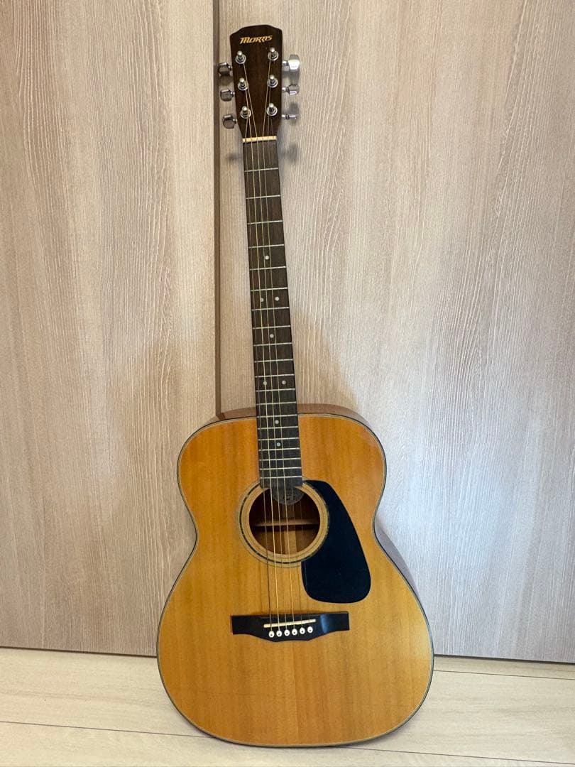 Morris M-66 アコースティックギター