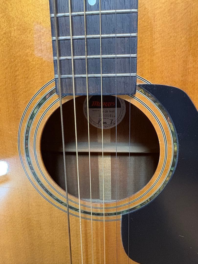 Morris M-66 アコースティックギター