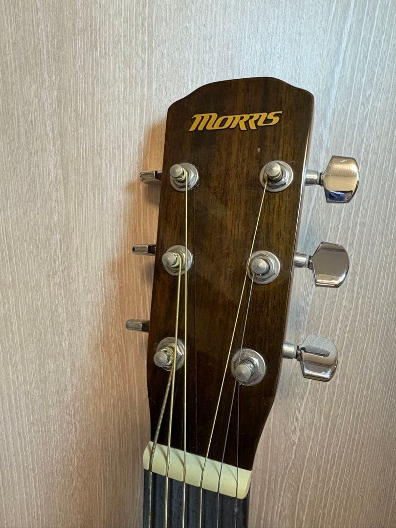 Morris M-66 アコースティックギター