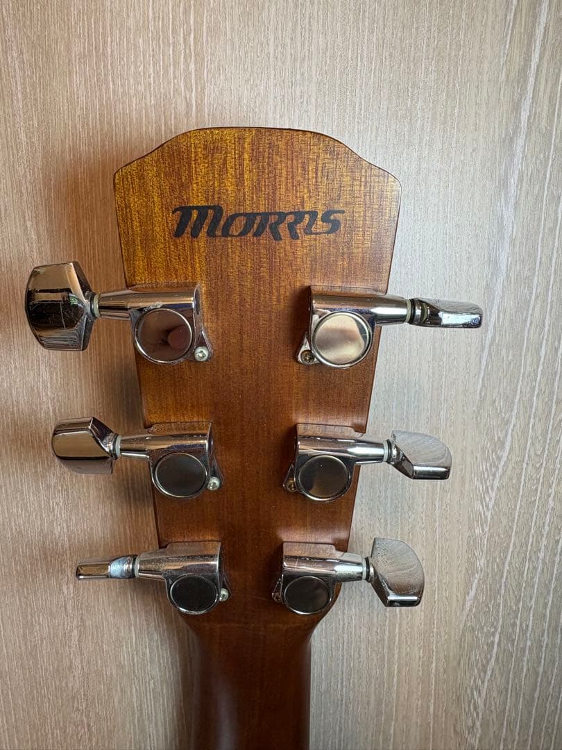 Morris M-66 アコースティックギター