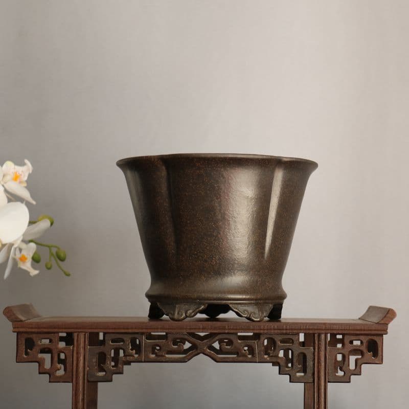 紫砂黒雲足梅花鉢 植物鉢 多肉鉢 工芸品 置物