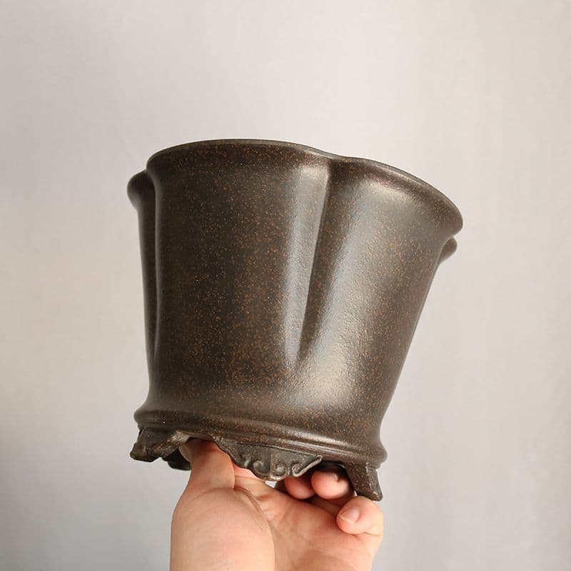 紫砂黒雲足梅花鉢 植物鉢 多肉鉢 工芸品 置物