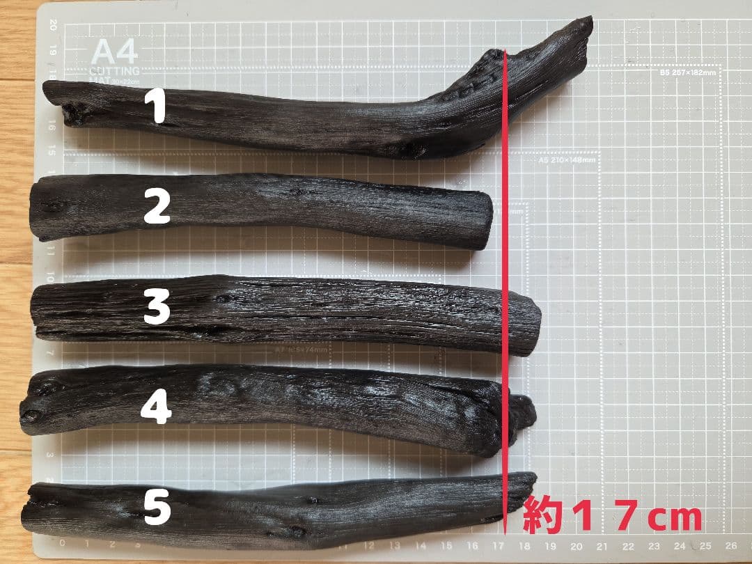 ・A.M・　ウロコちゃん用