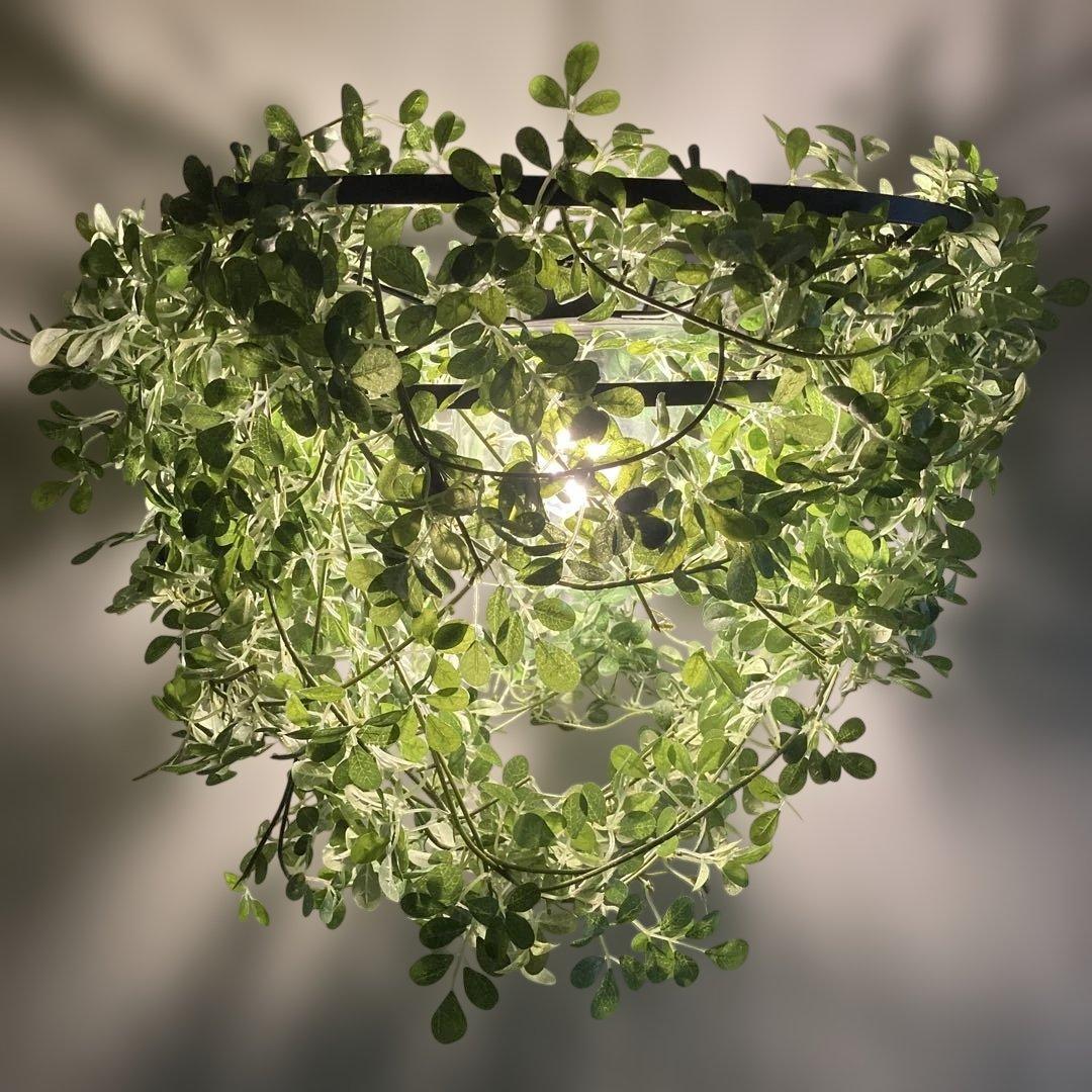 DI ClASSE ディクラッセ　植物　照明　LED mini foresti
