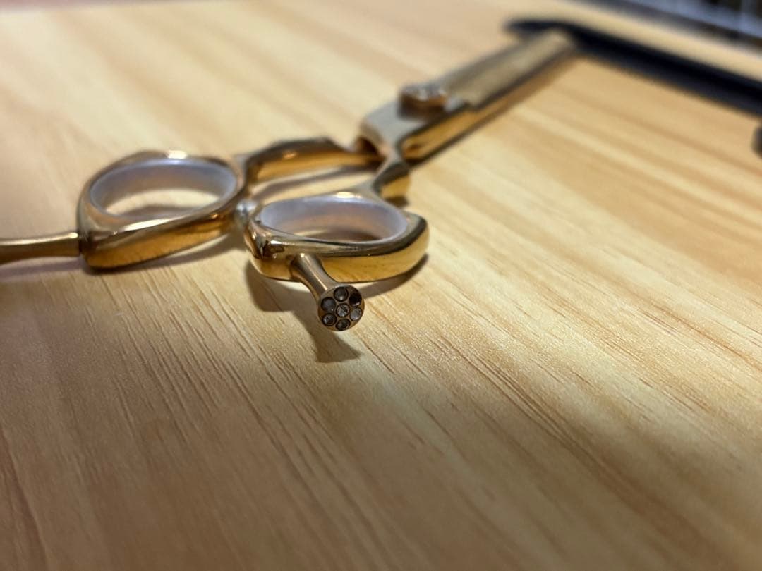 シルバーライン　消しゴムスキバサミ