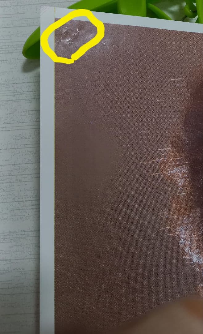 激レア　未裁断　1982年 松田聖子　柏原芳恵　ヤンジャンギャルコン告知