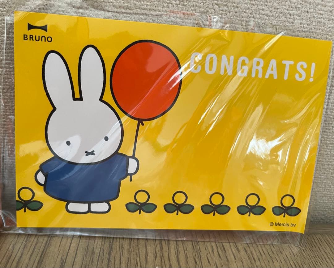 ❤︎miffy STAINLESS DAILY KETTLE、ケース付きしゃもじ