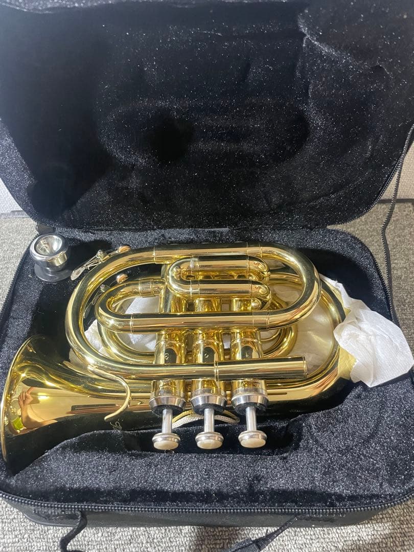 ケルントナーミニトランペット AY01108 (ケース付き)