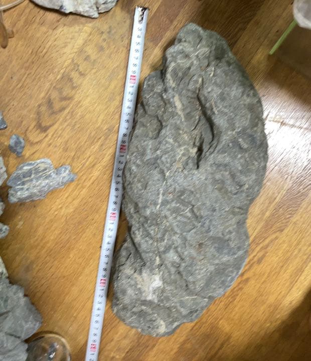 八海石　ADA アクアリウム　特大　水石　石組　盆石