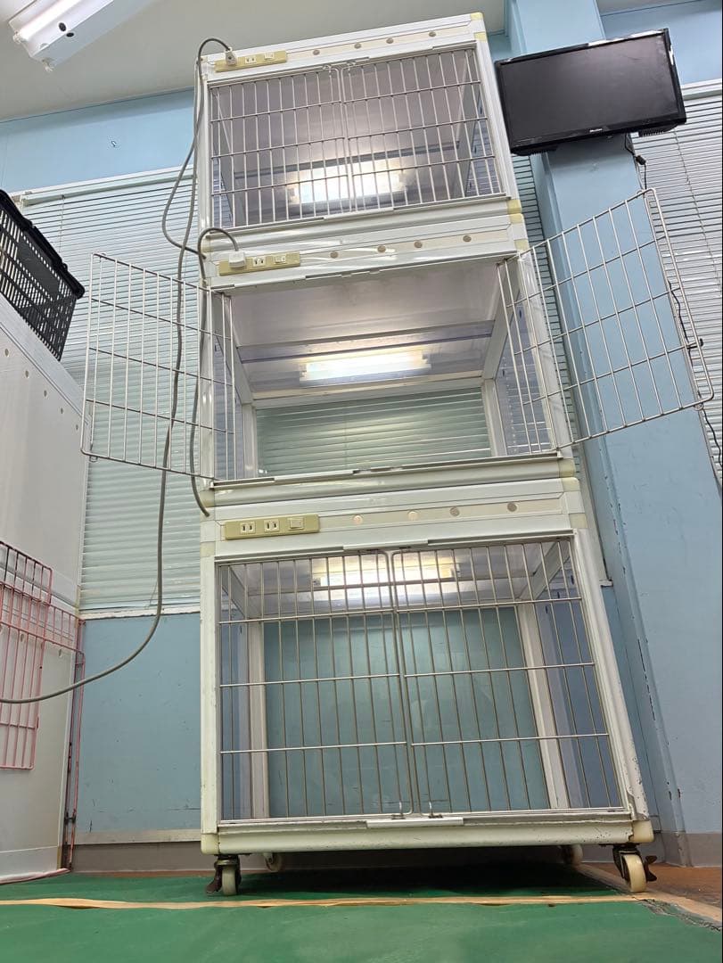 新年❗️特別値引中‼️GB PRO ペットマンション 3面クリアフィックス窓3段