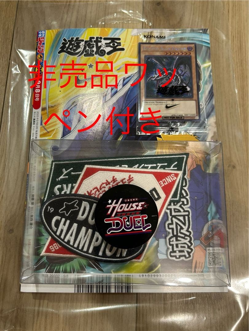 遊戯王NIKE レッドアイズ・ブラック・ドラゴン 限定版