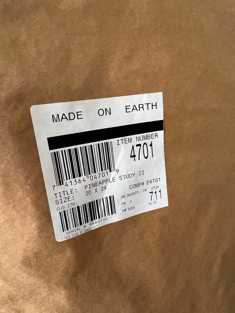 パイナップル アートフレーム