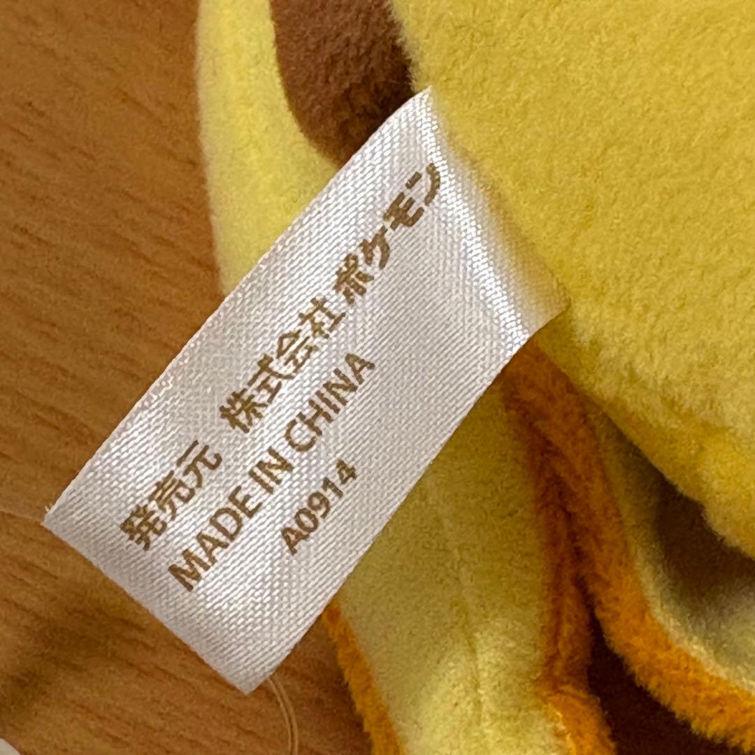 ポケモンセンター メガトウキョー限定 リザードンポンチョ ピカチュウ ぬいぐるみ