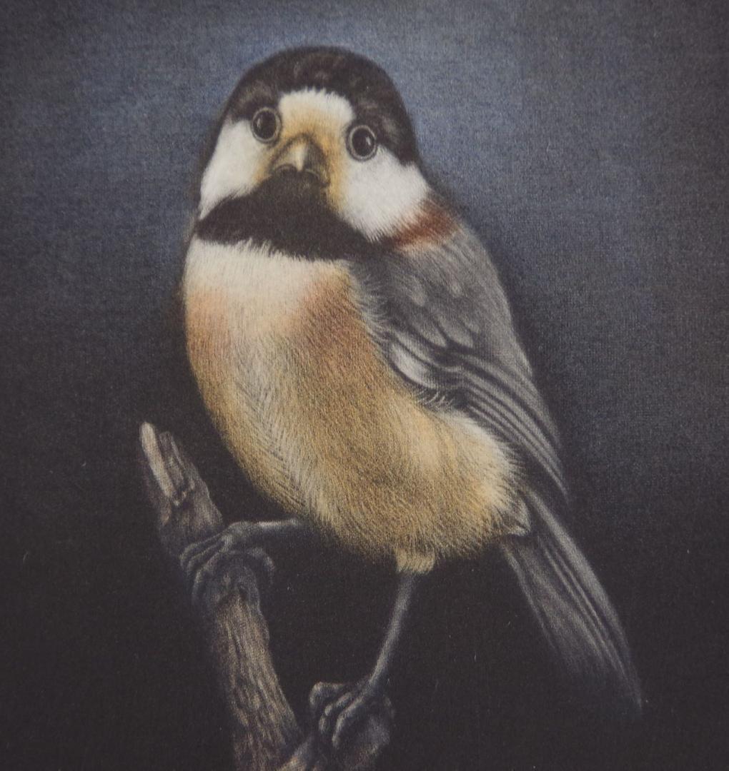 生田宏司　「若葉のころ　ヤマガラ」　　銅板画　２５×１４ｃｍ　真作　ｍｃ