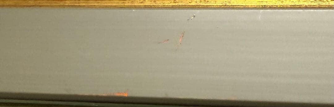 【最終価格】約束のネバーランド 高級複製原画 ジャンプフェスタ2021