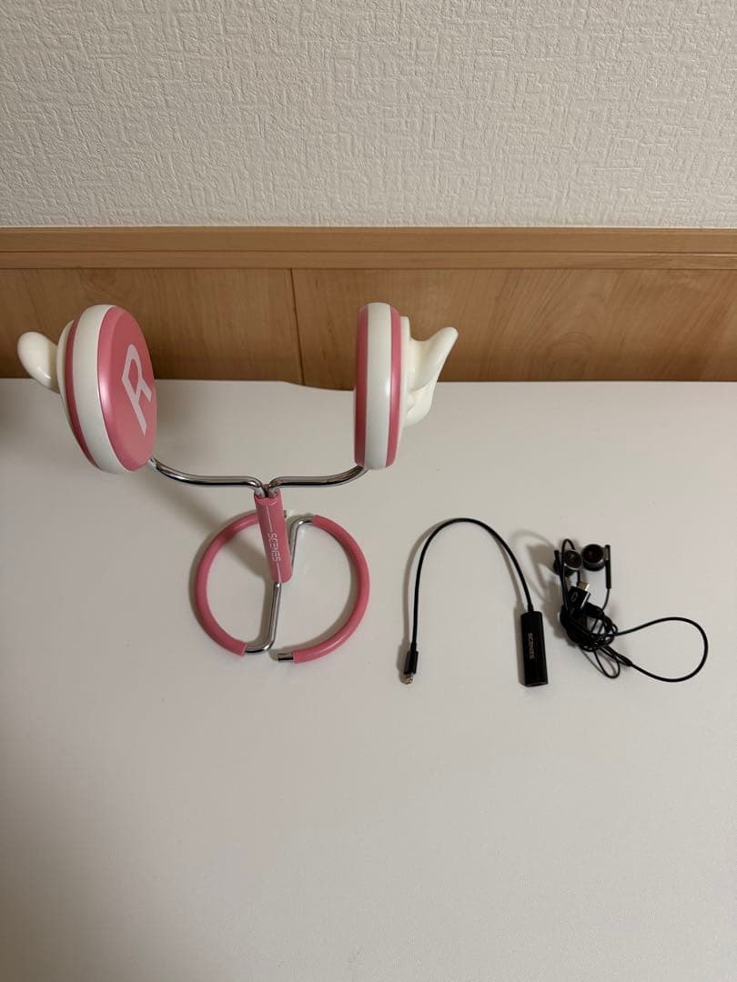 RolandCS-10EバイノーラルイヤホンマイクSCENES Lifelike