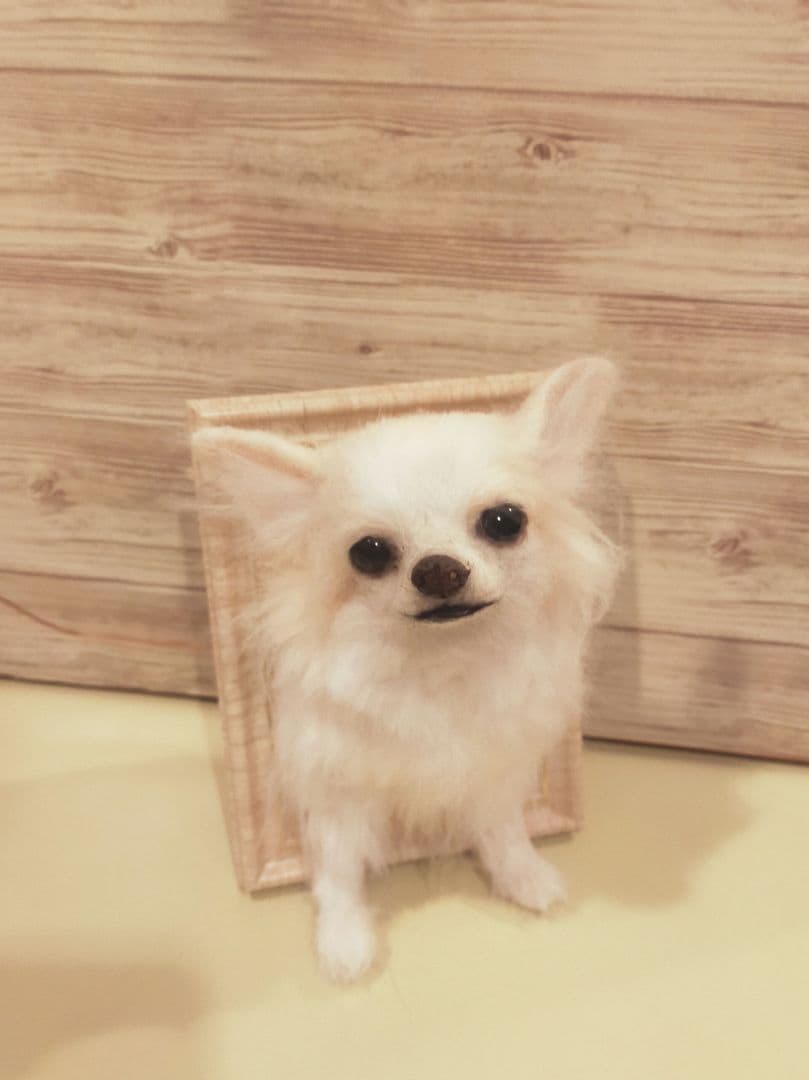 羊毛フェルト　ハンドメイド　犬　チワワ　フレーム