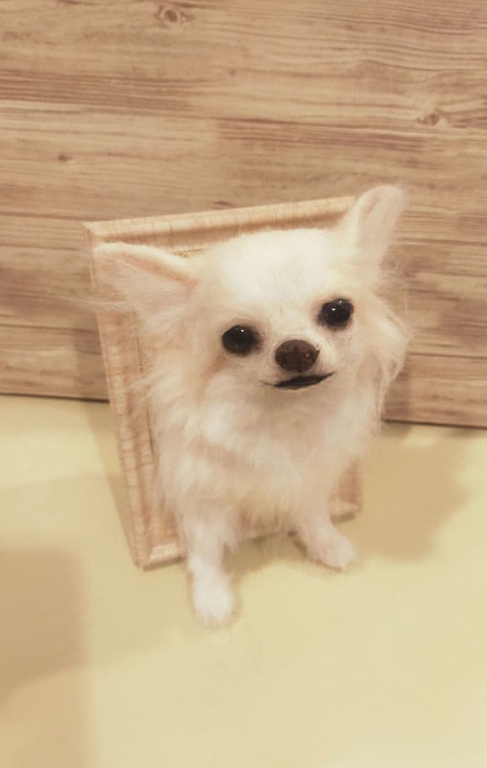羊毛フェルト　ハンドメイド　犬　チワワ　フレーム