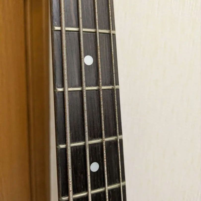 Bacchus ウッドラインモデル WL-434 レッドサンバースト ベース