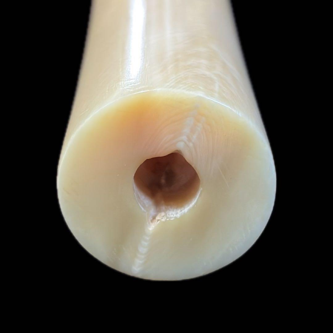 パイプ　マッコウクジラ　歯鯨　喫煙具　彫刻　特大　未使用　極上　天然素材