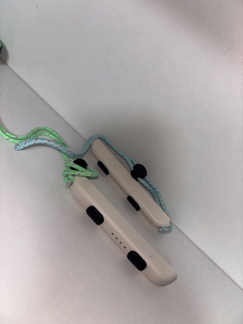 【完品】Nintendo Switch あつまれ どうぶつの森セット任天堂