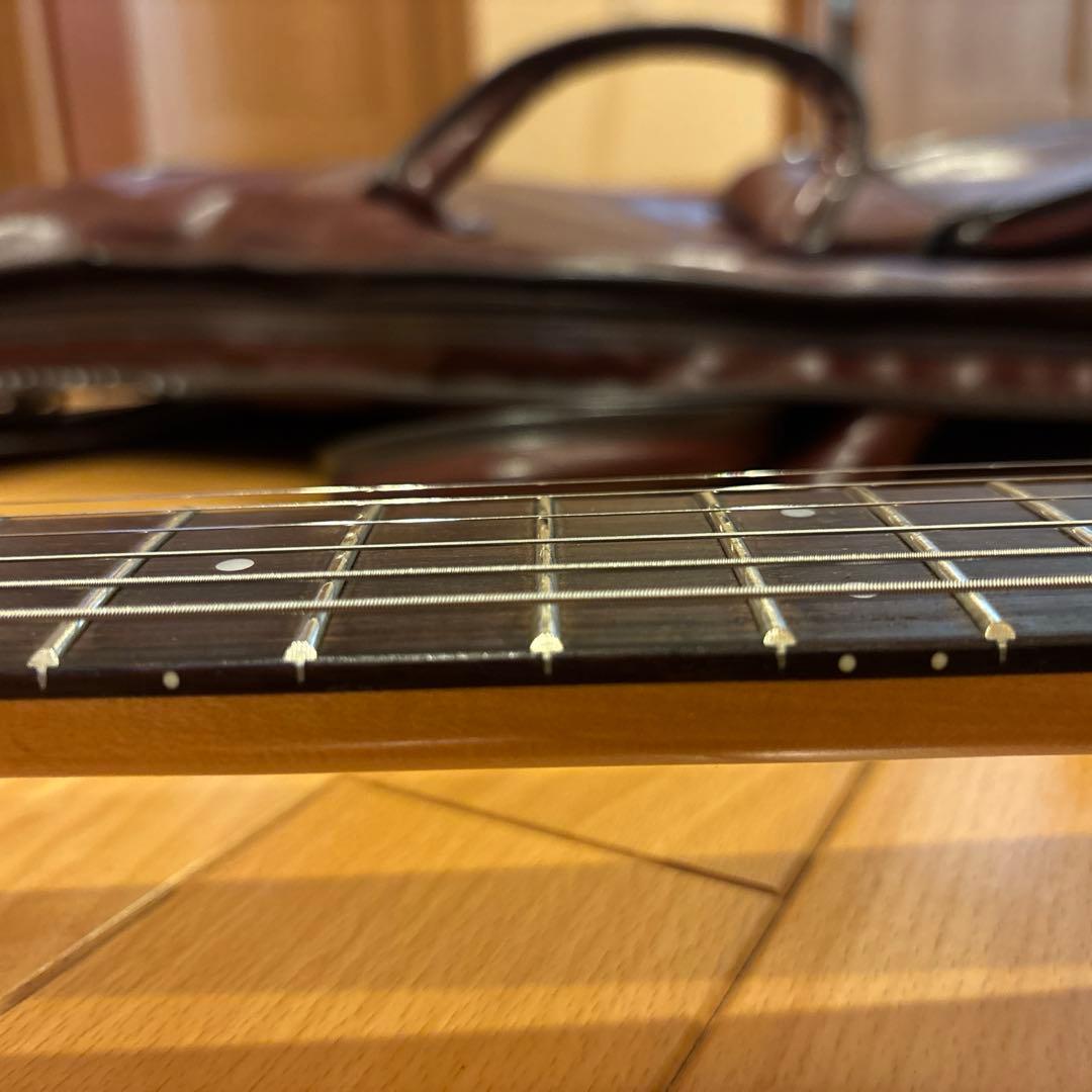 FERNANDES FGZ400 ブラックパーツ仕様 トレモロアーム・ケース付