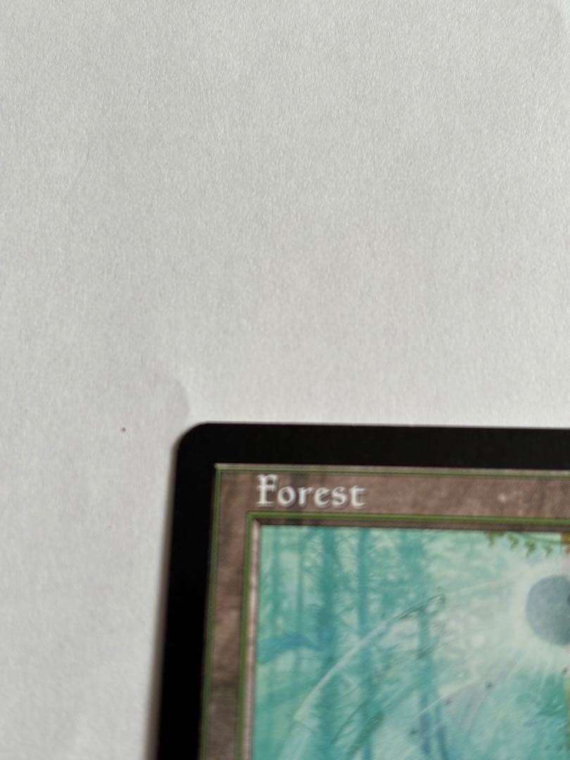 『MTG』森　グルランド　14