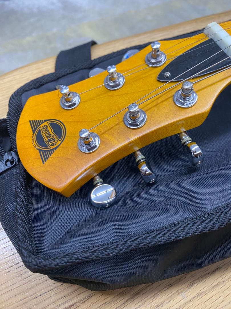 Pignose ピグノーズ エレキギター　ソフトケース付